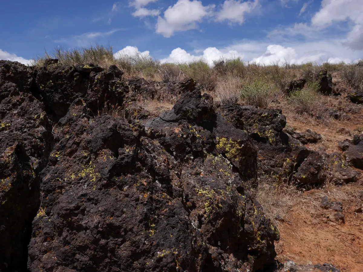 Close view of black, jagged basalt lava rock with desert shrubs in Snow Canyon State Park.