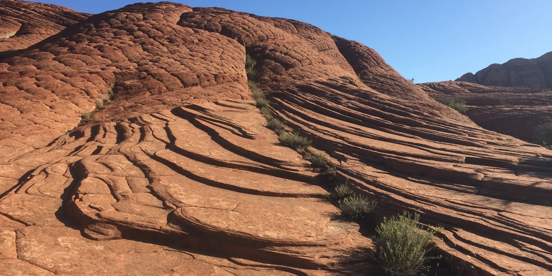 Curving lines of cross-bedded red sandstone slickrock, the petrified sand dunes of Snow Canyon State Park.