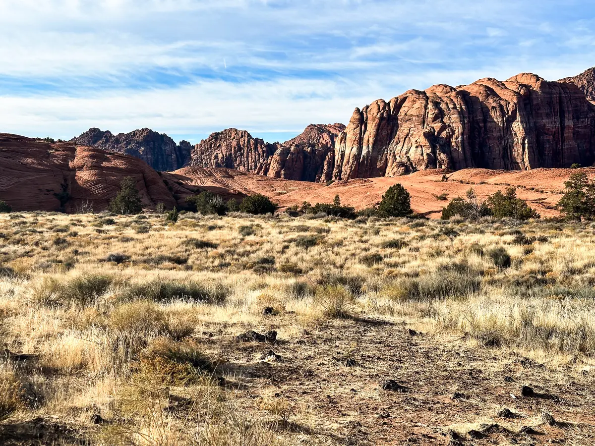 Pale winter grass and red rock below layered sandstone cliffs in December, Snow Canyon State Park.