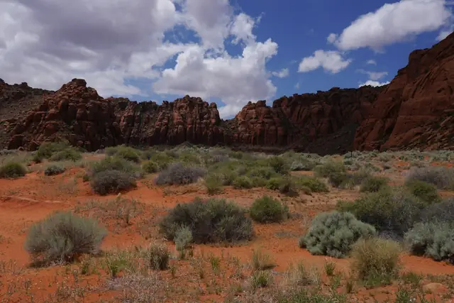 Red sand, green desert shrubs, and red cliffs under puffy white clouds in Snow Canyon State Park.