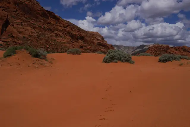 An open flat of deep red sand with scattered shrubs below a red sandstone slope in Snow Canyon State Park.