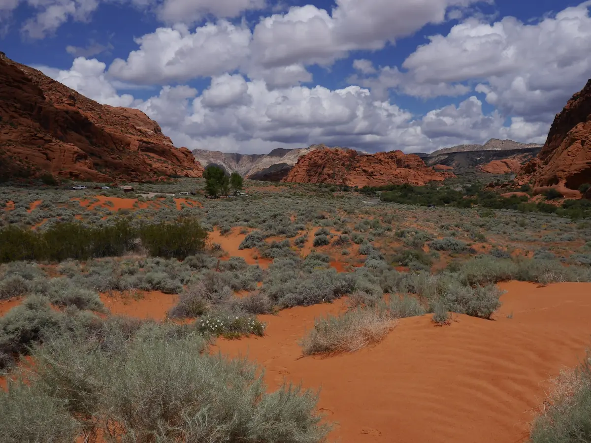 A sandy red path between desert shrubs leading toward red cliffs in Snow Canyon State Park.