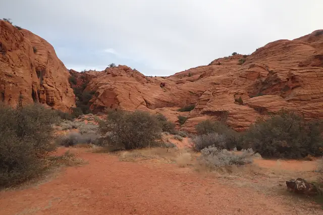Red sand and desert shrubs between tall red sandstone walls in Snow Canyon State Park.