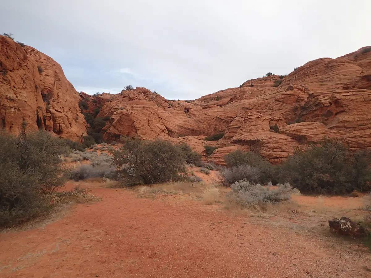 Red sand and desert shrubs between tall red sandstone walls in Snow Canyon State Park.