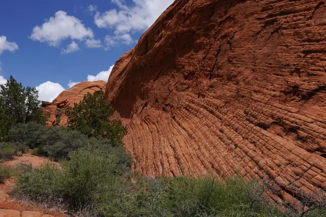 A swirled, cross-bedded red sandstone dome rising behind green trees in Snow Canyon State Park.