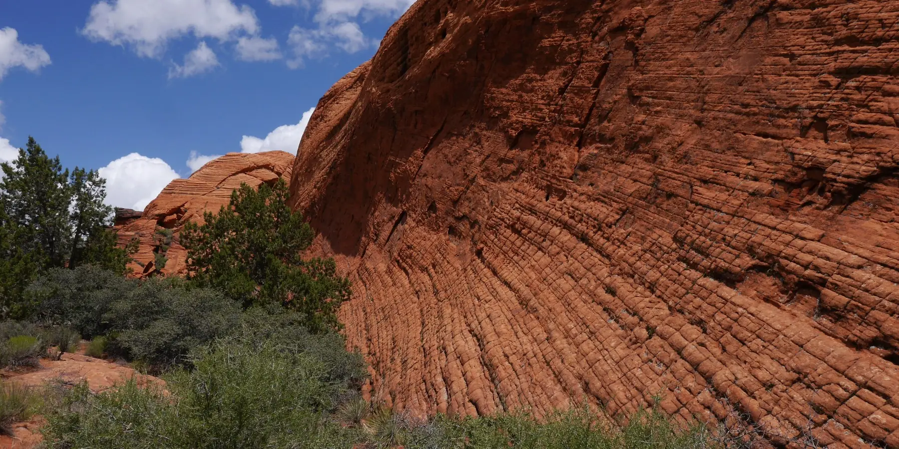 A swirled, cross-bedded red sandstone dome rising behind green trees in Snow Canyon State Park.