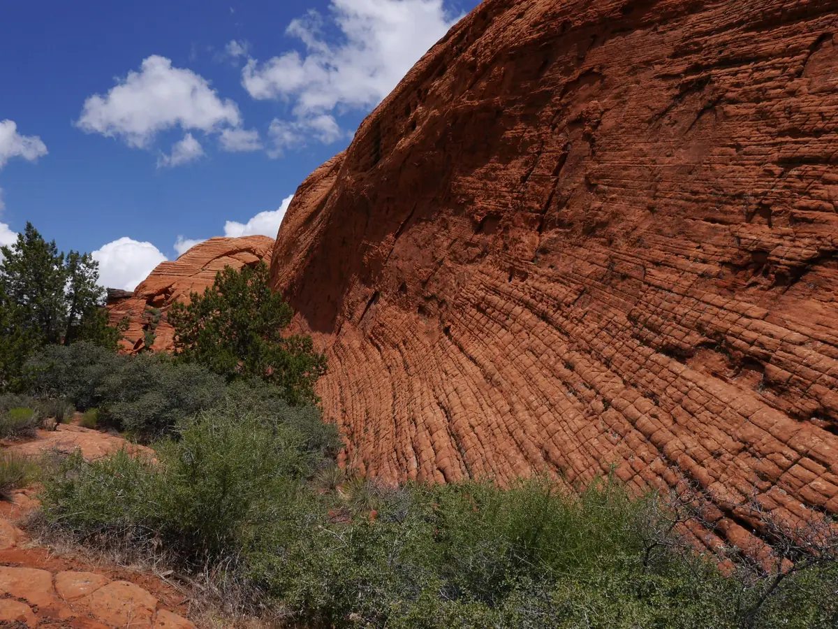 A swirled, cross-bedded red sandstone dome rising behind green trees in Snow Canyon State Park.
