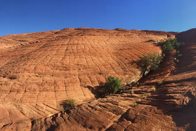 Panorama of swirling red cross-bedded Navajo Sandstone slickrock in Snow Canyon State Park.