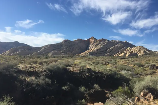 Distant sandstone peaks behind green desert shrubs in Snow Canyon State Park.