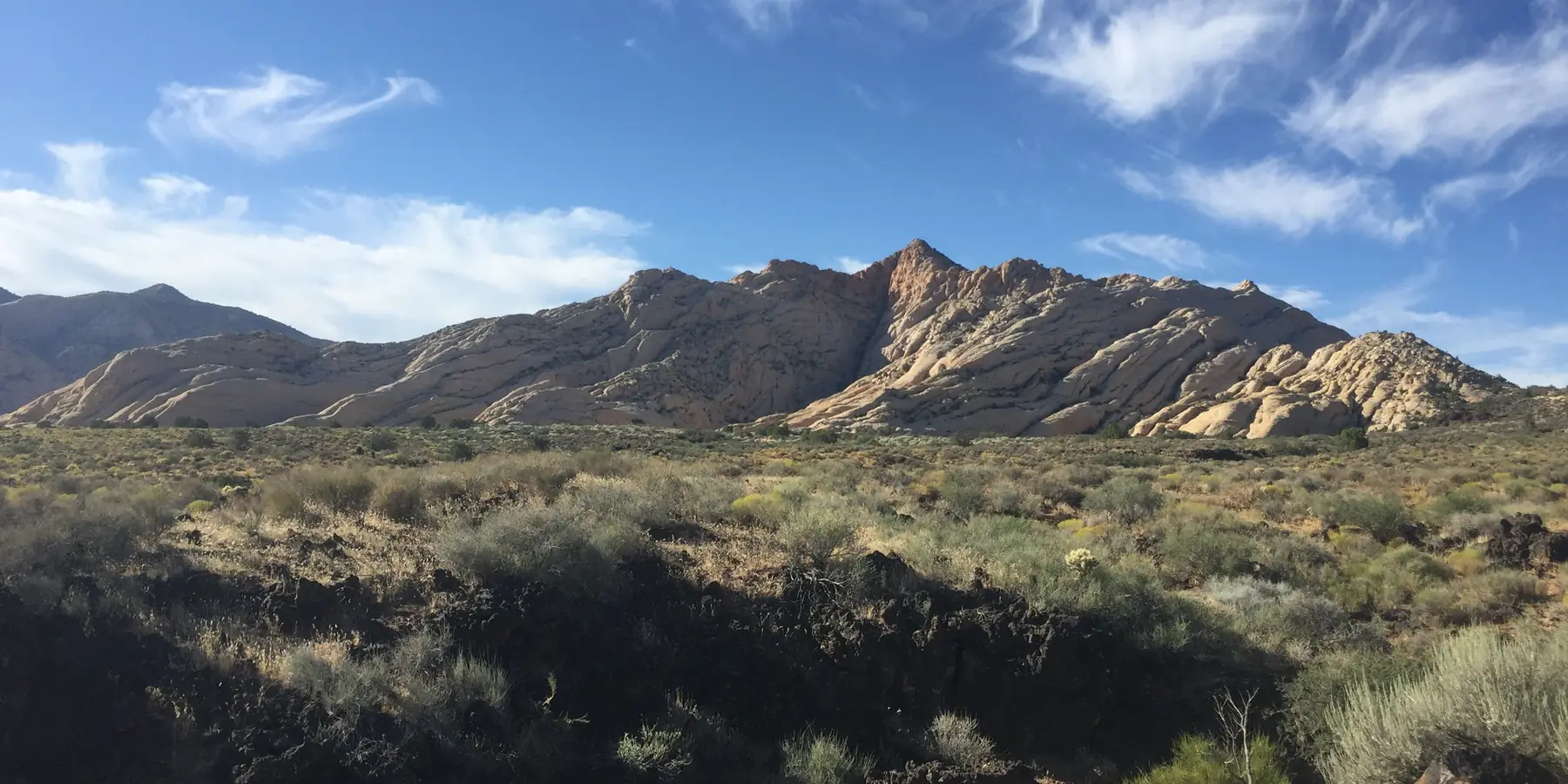Distant sandstone peaks behind green desert shrubs in Snow Canyon State Park.